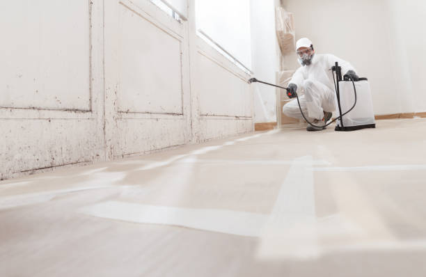24/7 Emergency Black Mold Remediation experts in Narberth, PA